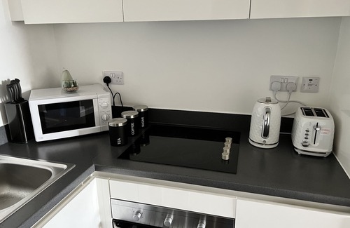 Brierley Hill Condo | Waterfront 1-Bedroom with Pet-Friendly Amenities