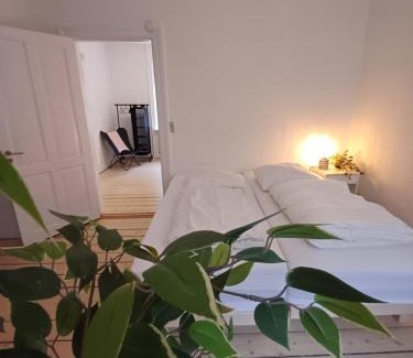 Aalborg Apartment | Luxurious 2 bedroom apartment near Jomfru Ane Gade