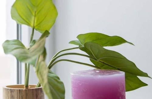 Roßau Apartment | Family-Friendly Retreat Steps from City Center - Rated 9/10