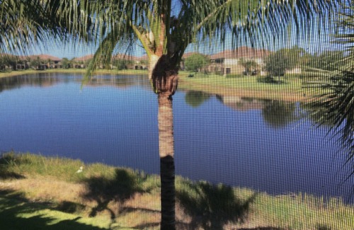 Naples Condo | Tranquil Lakeview Coach Home at Fiddler's Creek - 10/10 Rated