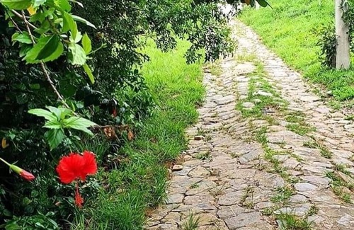 Manguinhos Villa | Elegant Estate with Lake, Trails, and Ocean Views Await You