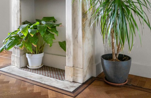 Markgrave Apartment | Modern Apartment in Antwerp - Breakfast & Pet Friendly!
