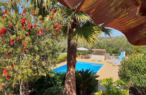 Loule House | Elegant Villa Surrounded by Olive Trees with Ocean View
