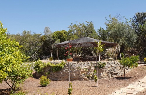 Loule House | Elegant Villa Surrounded by Olive Trees with Ocean View
