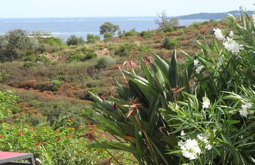 Plage de la Garonnette Villa | Elegant Villa with Pool & Ocean View, Steps from the Beach