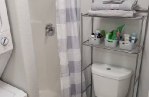 Alvin Apartment | All-Inclusive Apartments with Pet-Friendly Amenities