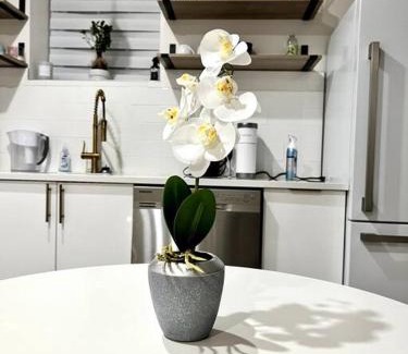 Wanskuck Apartment | Cozy 1 Bed Condo in the Heart of Providence - Breakfast Included