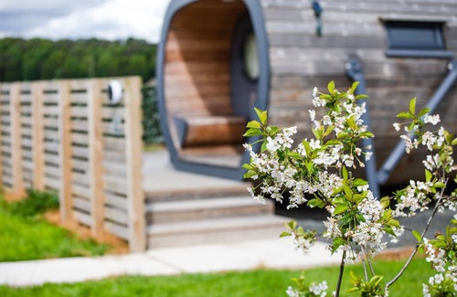 Alloa Cabin | Top-Rated Anthropod with Private Decking & Hot Tub Experience