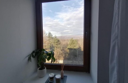 Campulung Apartment | Inviting Apartment in Câmpulung for Family Getaways