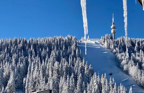 Pamporovo Apartment | Stylish Aparthotel STUDENETS with Family-Friendly Amenities