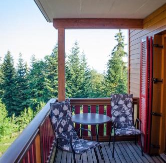 Hocko Pohorje Apartment | Elegant Prežin Apartments: 4-Star Stay with Top Amenities