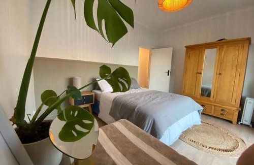 Jeffreys Bay House | Beach House Retreat in Jeffreys Bay, Family & Pet Friendly