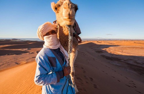Beni Abbes Other | Pet-Friendly Luxury Camp with Breakfast & Family Amenities