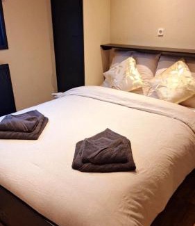 Anloo Apartment | luxury chalet by the forest!