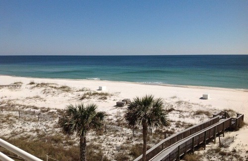Ono Island Condo | Beachfront Condo: Guest Rated 10/10 with Ocean View & Pool