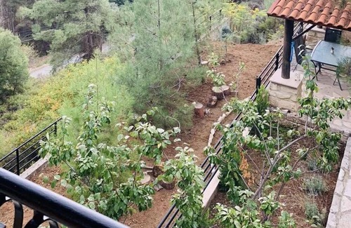 Vasa Koilaniou Villa | Experience Nature at Luxury House, Troodos Mountains