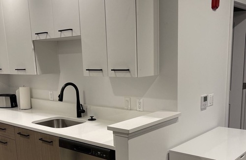Royal Oak Apartment | Luxury Downtown Royal Oak studio apartment - FREE parking