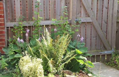 Seahouses House | Family Beach Retreat with Ocean View & Hot Tub, Rated 9.8