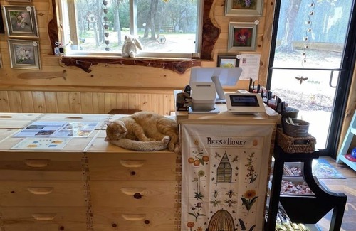Navasota RV Rental | Family-Friendly Glamping at BeeWeaver Honey Farm