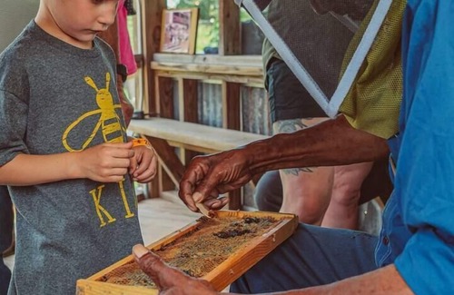 Navasota RV Rental | Family-Friendly Glamping at BeeWeaver Honey Farm
