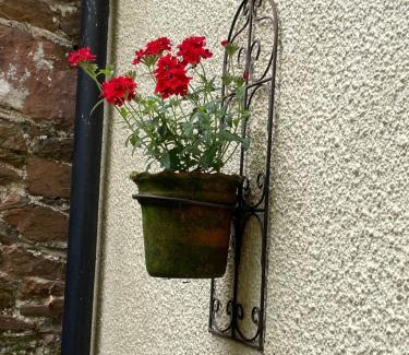 Totnes Apartment | Elegant Flat in Totnes - Guest Rated 9.1/10