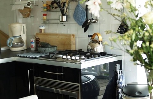 Municipality of Edam-Volendam Other | Idyllic 'Kaakberg' Farmhouse with Pool Near Amsterdam