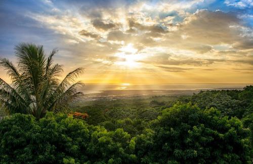 Kailua-Kona Villa | Indulge at Kona Mansion: Infinity Pool & Ocean Views
