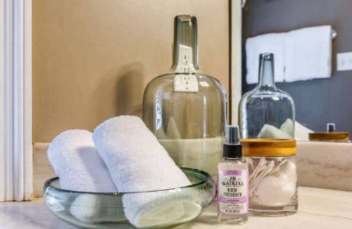 Lower Garden District House | Historic NOLA Studio with Pool & Spa – Guest Rated 10/10