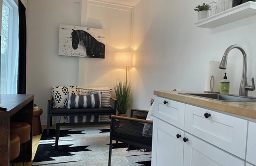 Enoree Cottage | Exceptional Modern Container Home with Pet-Friendly Amenities
