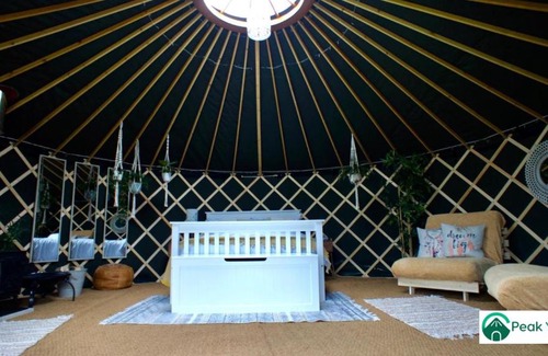 Combs Other | Pet-Friendly Off-Grid Glamping Yurt – Rated 9/10 by Guests