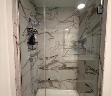 Streeterville Apartment | Luxury on the Lake - Chicago High Rise