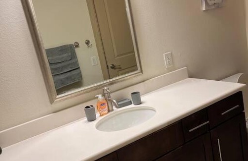 Astrodome Apartment | Elegant One Bedroom Near Med Center with Pool Access