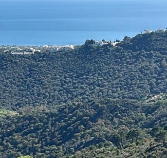 Marbella Apartment | Elegant Penthouse: Create Lifelong Memories in Style