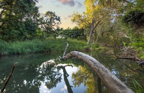 Alligator Creek House | Luxury resort style living 20 Minutes from the CBD