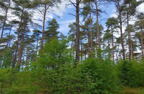 Jegum House | Pet-Friendly Holiday Home Oksbøl VIII with Pool Access