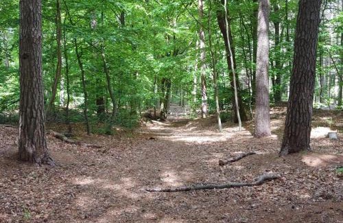 Jegum House | Pet-Friendly Holiday Home Oksbøl VIII with Pool Access