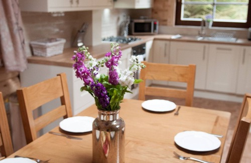Morpeth Cabin | Cozy Scandinavian Log Cabin with Private Hot Tub & Spa