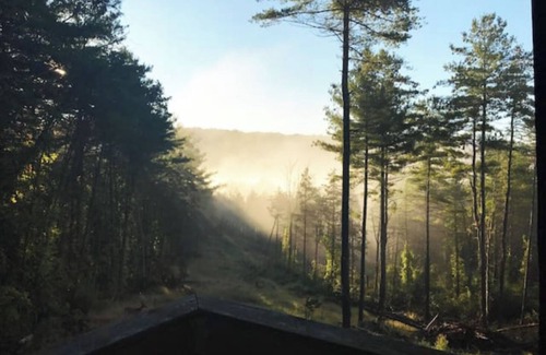 Catskill Cabin | Secluded Catskill Log Cabin: Pet-Friendly Retreat Near Trails