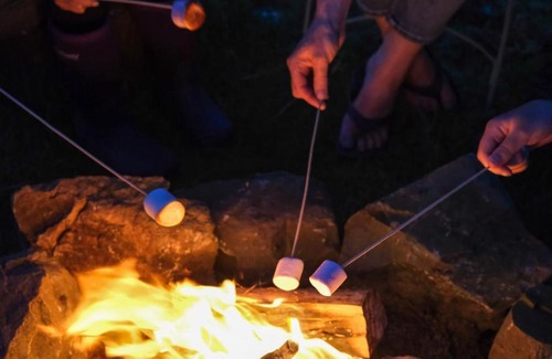 Downpatrick Other | Secluded Glamping Experience in Beautiful County Down