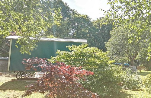 Holcombe Burnell Cabin | Relaxing Shepherds Hut Retreat in Devon near Dartmoor