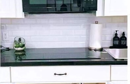 Houston Apartment | Cozy Studio-Apt with Jacuzzi Near IAH Airport