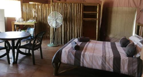 Bela-Bela Other | Experience Unique Tents with Ocean Views in South Africa