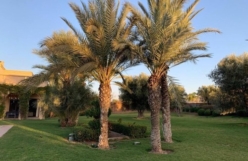Assouel House | Elegant Villa Retreat in the Marrakech Palm Grove
