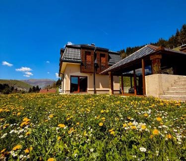 Sarajevo Canton Villa | Elegant Villa Kadic: Guest Rated 9.9, Pet-Friendly Stay