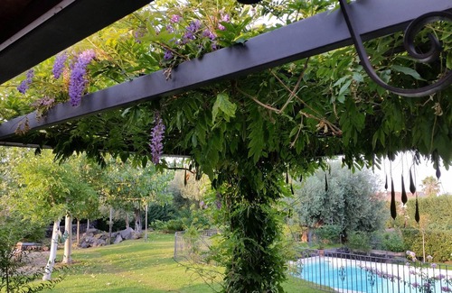 Acireale Villa | Exquisite Sicilian Villa with Pool and Ocean Views