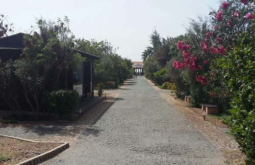 Sal Villa | Elegant Villa with Private Pool and Ocean Views in Santa Maria