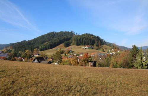 Mitteltal House | Elegant Black Forest Retreat in Baiersbronn with Pool
