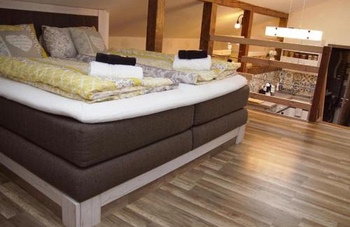 Nove Mesto na Morave Apartment | Elegant NMNM Mezonet Apartment with Spa and Pet-Friendly Perks