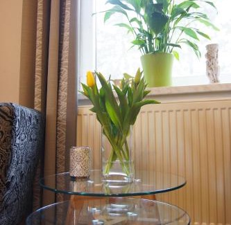Nove Mesto na Morave Apartment | Family-Friendly Retreat at NMNM with Spa and Hot Tub