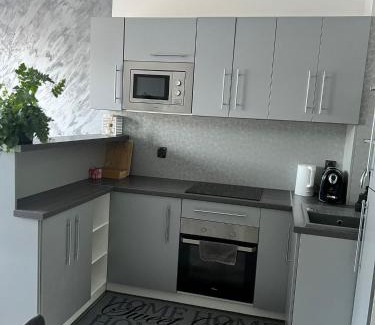 Hradec Kralove Apartment | Luxusní apartmán v blízkosti centra města,Wifi, Netxlix